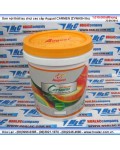 Sơn nội thất lau chùi cao cấp August CARMEN IZYWASH thùng 18 lít
