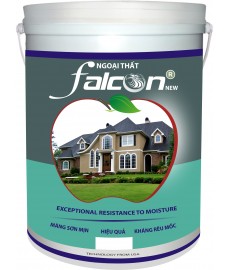 SƠN NGOÀI TRỜI FALCON  