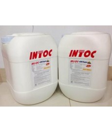 INTOC - 05N SUPER