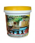 CHỐNG THẤM SÀN CT-11A+ 20KG
